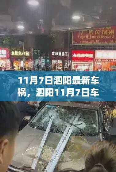 泗阳车祸后的心灵与自然的奇妙之旅