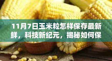 科技新纪元揭秘，最新鲜玉米粒保存神器，如何保持玉米粒新鲜如初（11月7日指南）