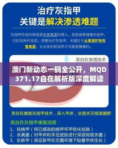 澳门新动态一码全公开,MQD371.17自在解析版深度解读