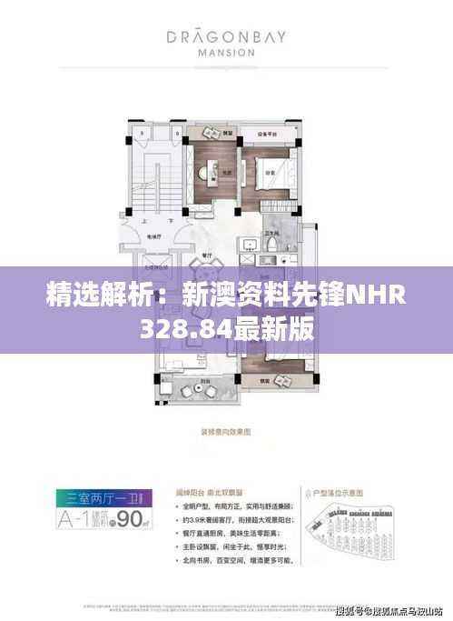 精选解析：新澳资料先锋NHR328.84最新版