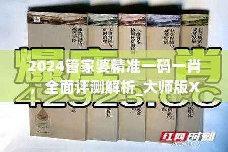 2024管家婆精准一码一肖，全面评测解析_大师版XST41.55