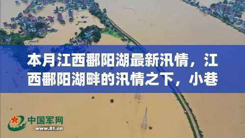 江西鄱阳湖汛情下的独特风情与最新汛况报告