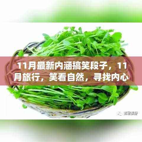 11月旅行笑谈录,内涵搞笑段子与心灵的宁静之旅