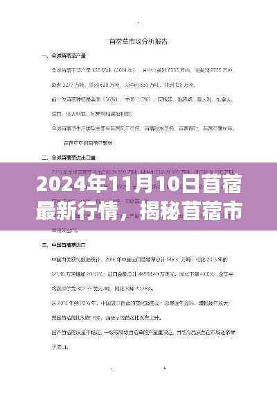 揭秘苜蓿市场走势，最新行情解读与预测（2024年11月10日）