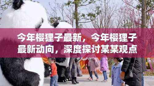 今年樱狸子最新动向深度探讨,聚焦观点解析与动态更新