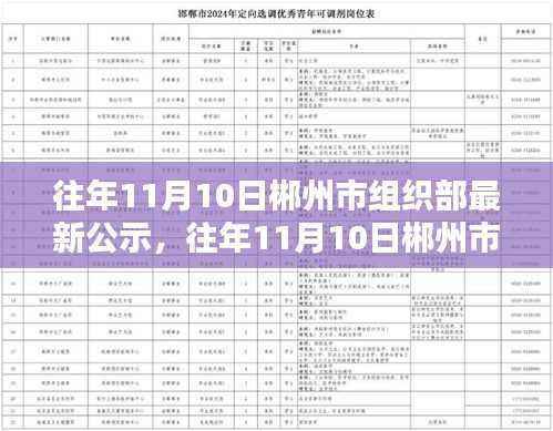 郴州市组织部公示系统评测及特性分析，目标用户的体验与目标洞察报告