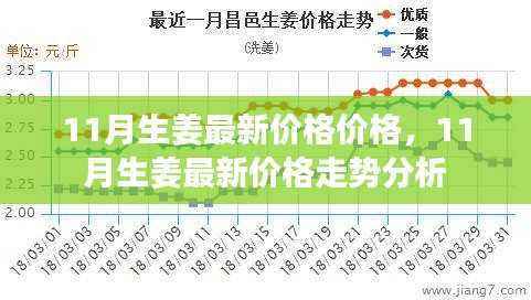 11月生姜最新价格及走势分析