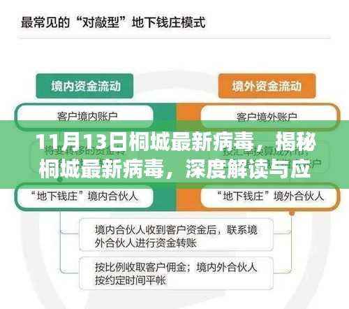 揭秘桐城最新病毒深度解读及应对策略(11月13日情报更新)