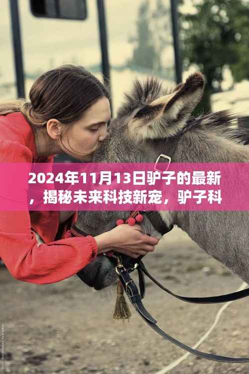 揭秘未来科技新宠,驴子科技全新产品体验首发于2024年11月13日