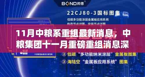 中粮集团十一月重磅重组消息深度解析,最新动态与影响展望