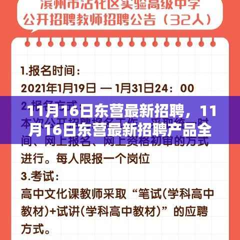 11月16日东营最新招聘产品全面评测与介绍