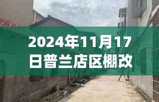 普兰店区棚改最新动态,深度解读2024年11月17日更新消息