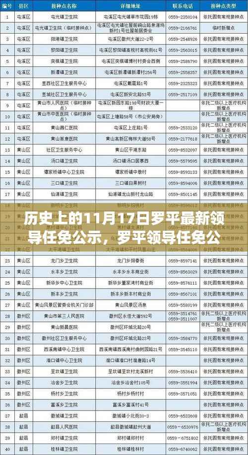 罗平领导任免公示,权力更迭的深度分析与观点阐述