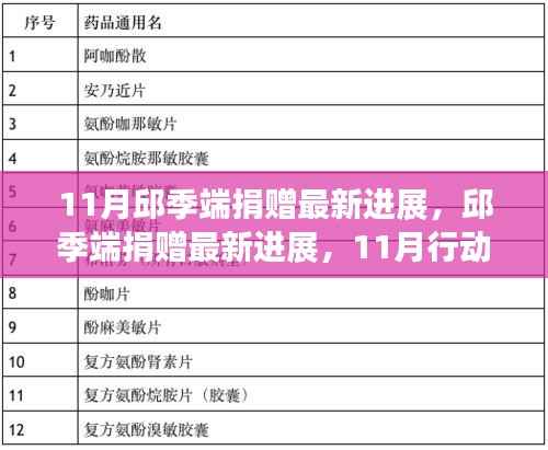 邱季端11月捐赠行动最新进展及指南详解
