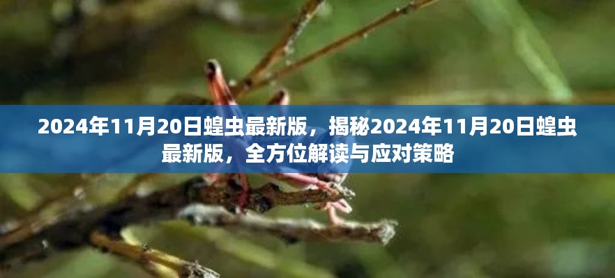 揭秘揭秘,2024年蝗虫最新动态及应对策略分析