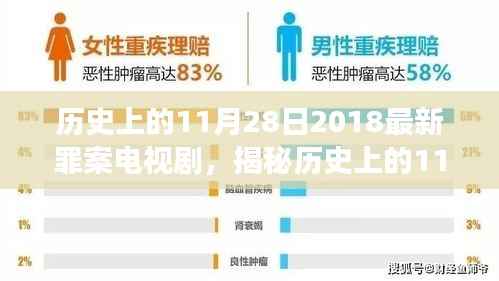 揭秘历史上的11月28日,深度解读最新罪案电视剧未知真相
