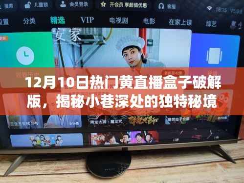 揭秘黄直播盒子破解版背后的独特秘境,特色小店探秘之旅