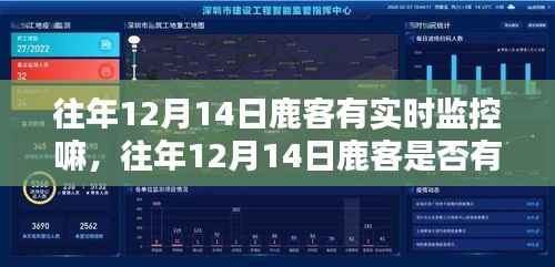 深度解析,往年12月14日鹿客实时监控及案例分享