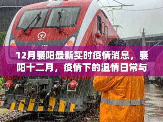 襄阳十二月疫情下的温情与友情纽带实时更新