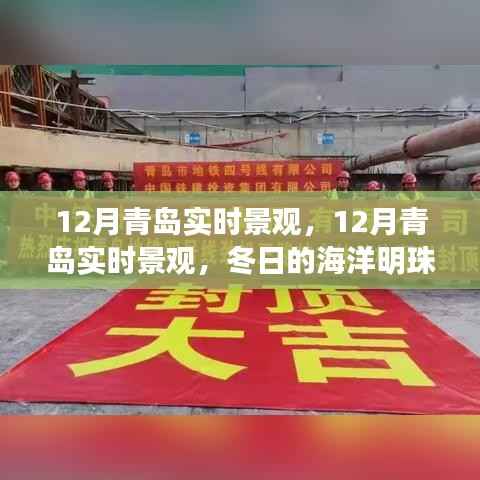 冬日的海洋明珠,青岛十二月实时景观璀璨绽放