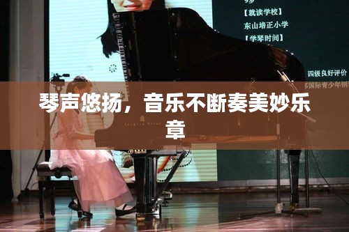 琴声悠扬,音乐不断奏美妙乐章