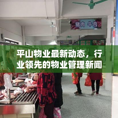 平山物业最新动态,行业领先的物业管理新闻头条