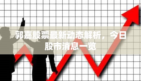 郭嘉股票最新动态解析,今日股市消息一览